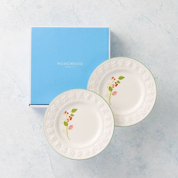 <フェスティビティ> ラズベリープレート21cm ペア